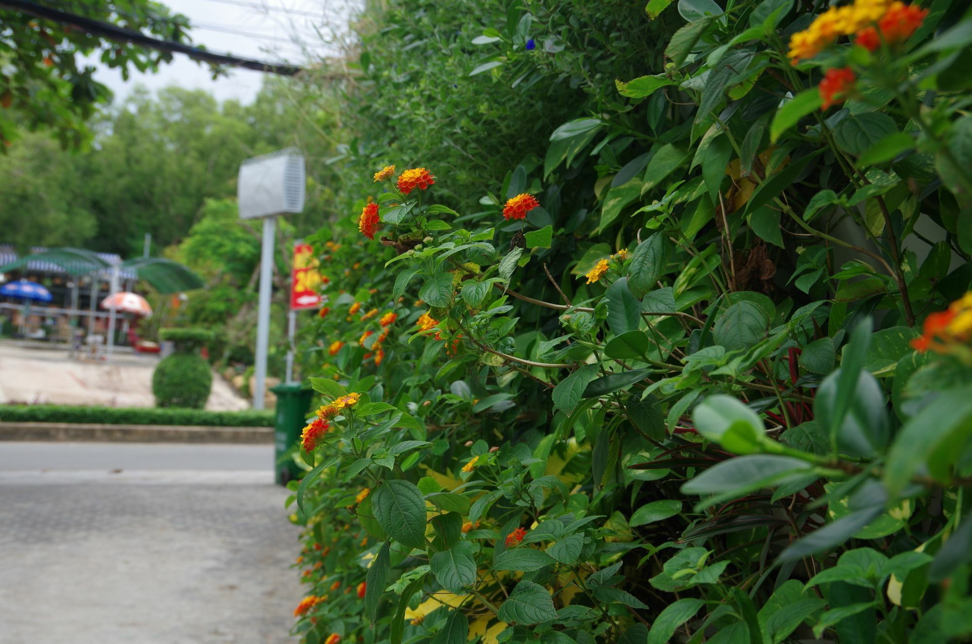 Ngoc Chau Phu Quoc Hotel Esterno foto